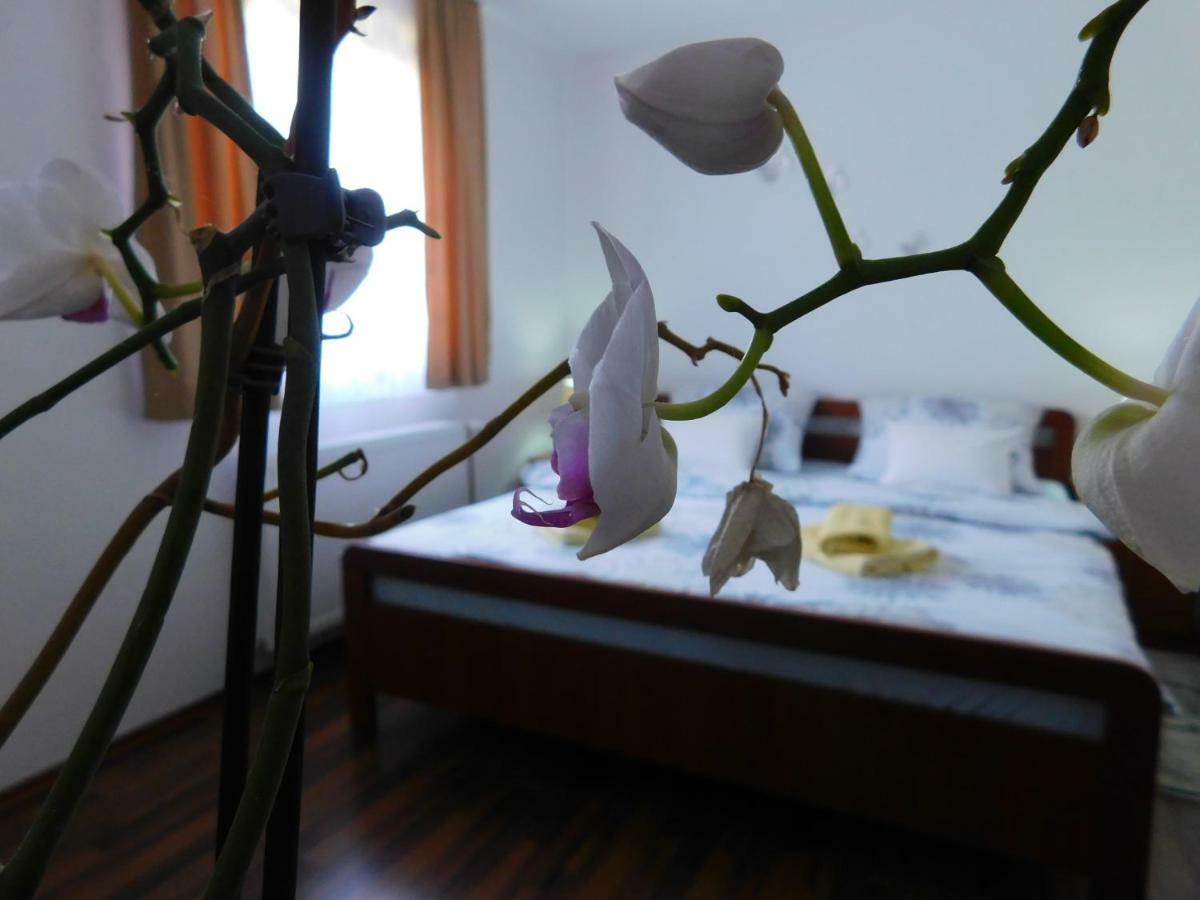 Apartment Petrovic Slunj Εξωτερικό φωτογραφία